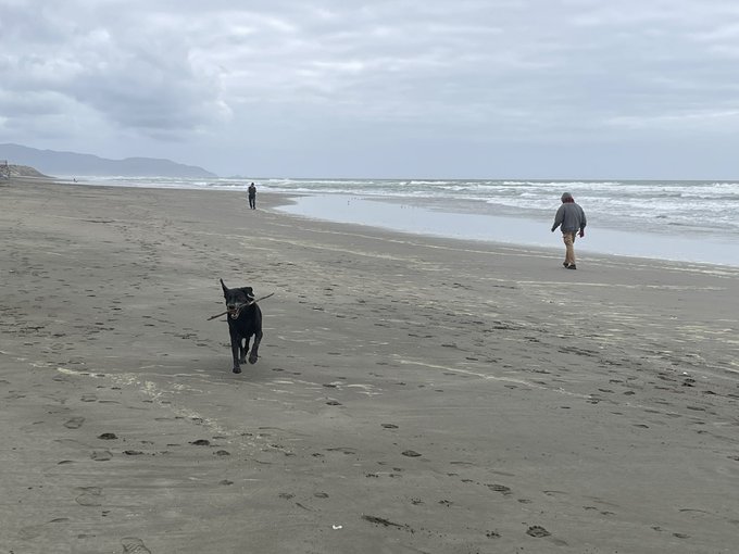 Just went to the beach and said a little prayer for Saint Stormy Daniels. I sure wouldn&rsquo;t want to be<a href="/tag/stormydaniels"class="tags"><span>#stormydaniels</span></a>