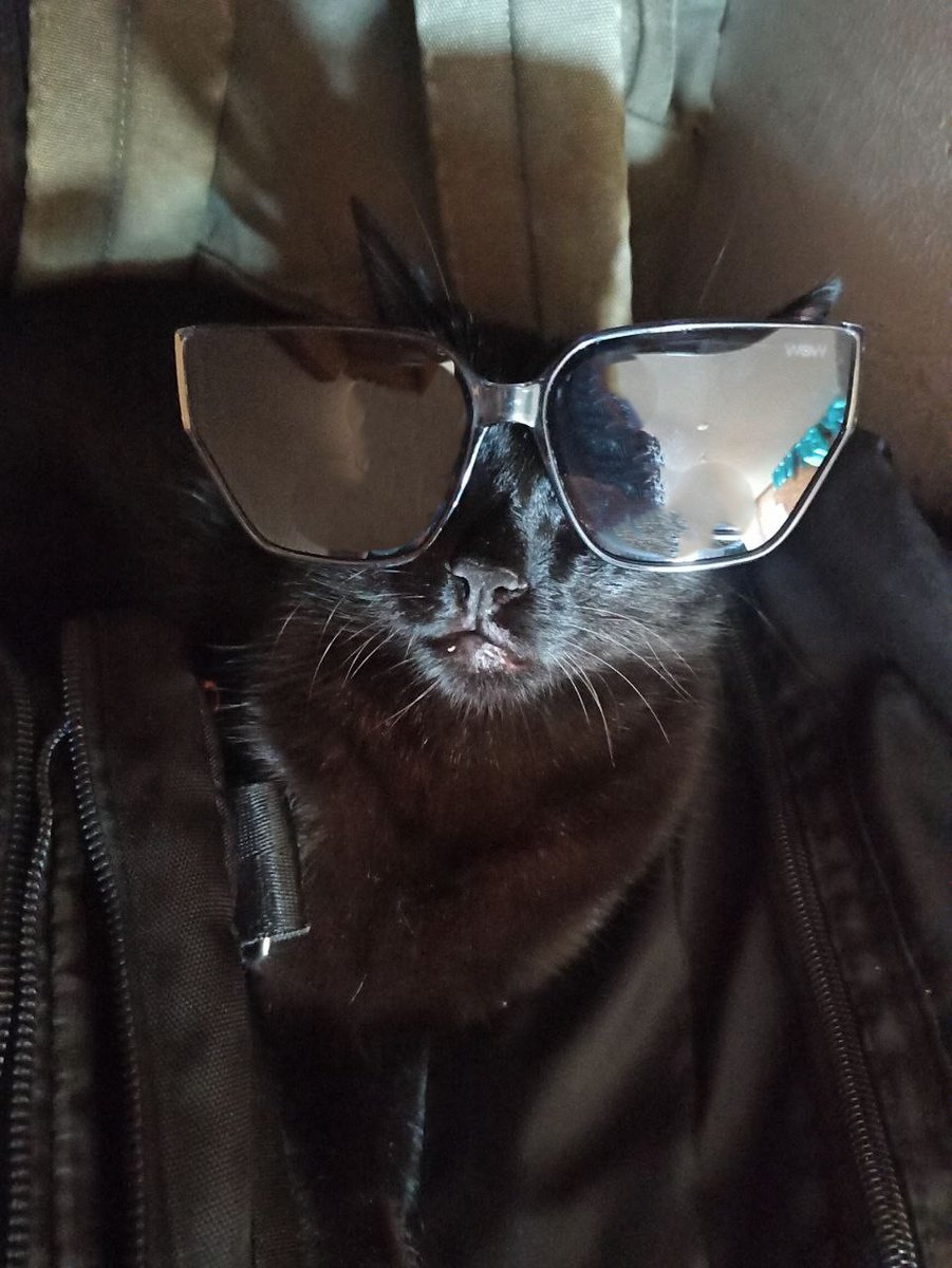 LittleDMonster tweet media