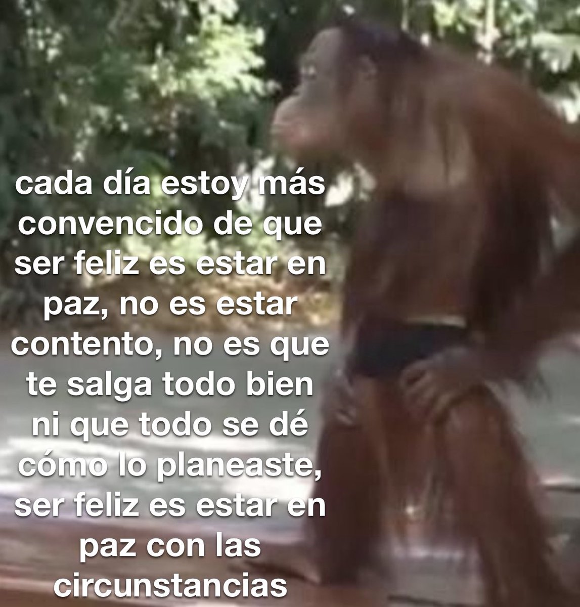 conoloracigarro's tweet photo. https://t.co/F9zcrYHel8