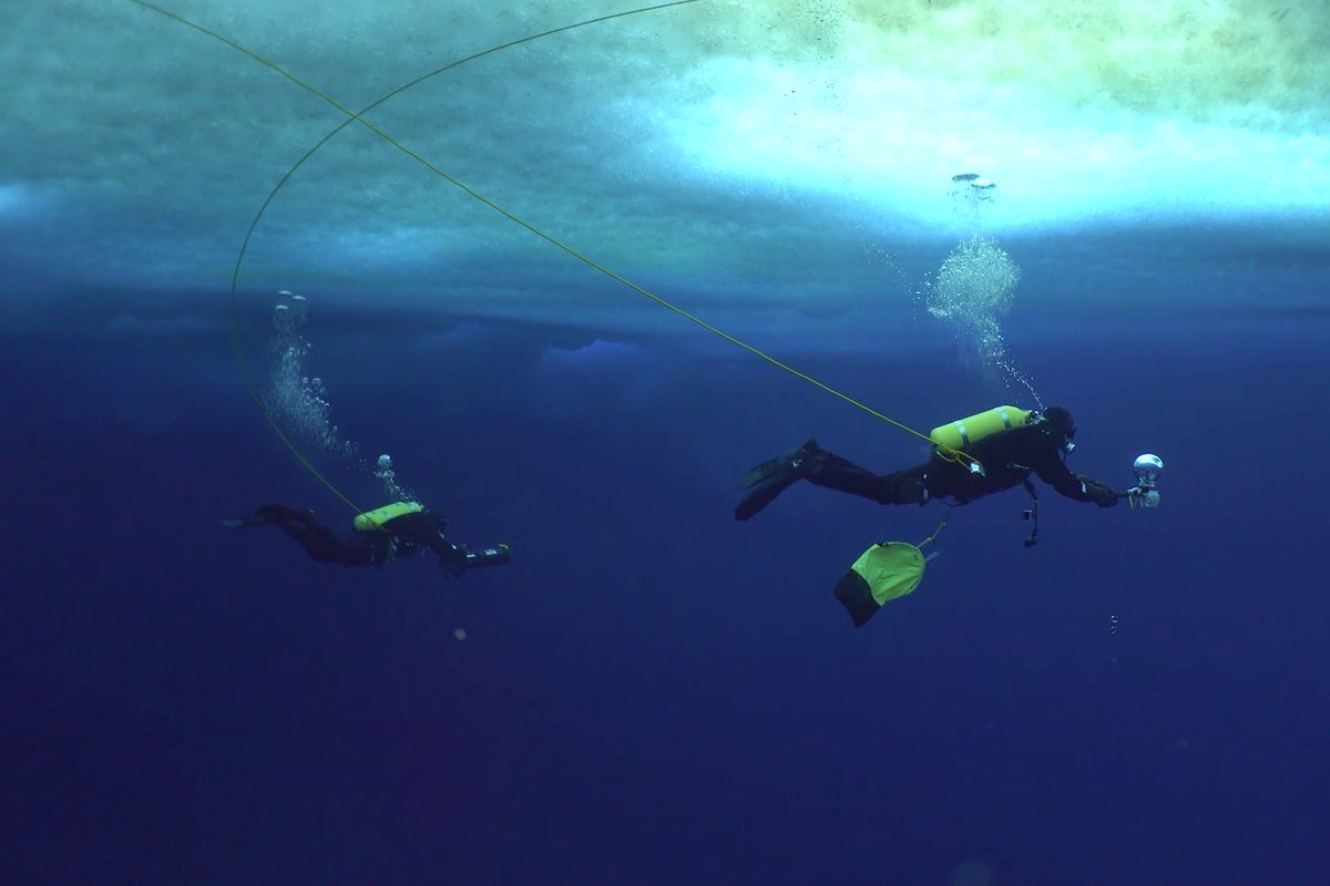 In 2016, NIWA diver Rod Budd found a security card on the seafloor in Antarctica. The card had been lost 13 years earlier in Wellington, some 4,000km away. 😮 Read the full story here ➡️ niwa.co.nz/news/curious-c…