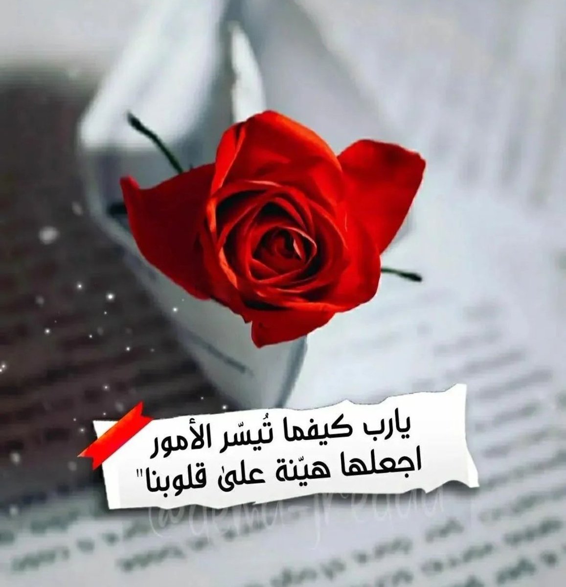 يا رب كيفما تُيسر الأمور، اجعلها هيّنةٍ على قلوبنا..🤍
#صباح_الخير 🕊️🌹 #صباح_الخير_والسعادة_للجميع