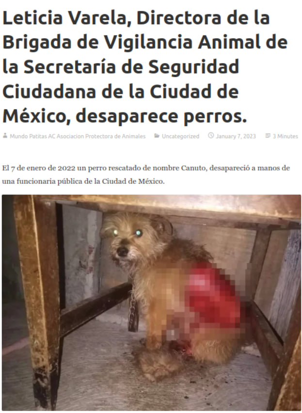 SergioAl7's tweet photo. Como titular de la Brigada de Vigilancia Animal, @letyvarela fue la responsable de la desaparición de un perro que había sido rescatado por maltrato y usó a la fiscalía de la CDMX para tapar su delito
#YoConLuis #DefendamosBJ https://t.co/SogZR8Gr56