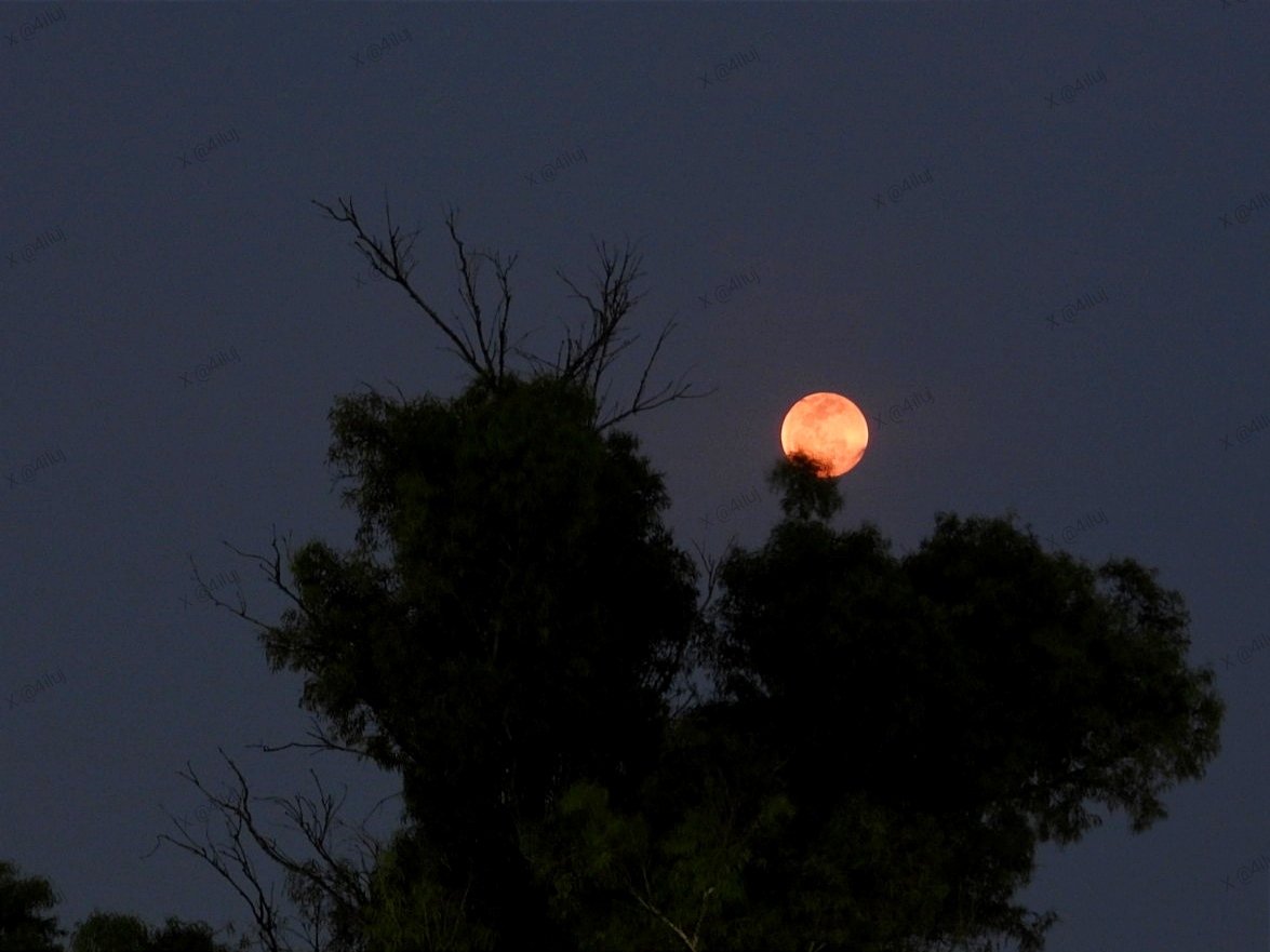 Salida de la luna llena, luna Rosa 🩷, 23 de abril de 2024, Ciudad de México