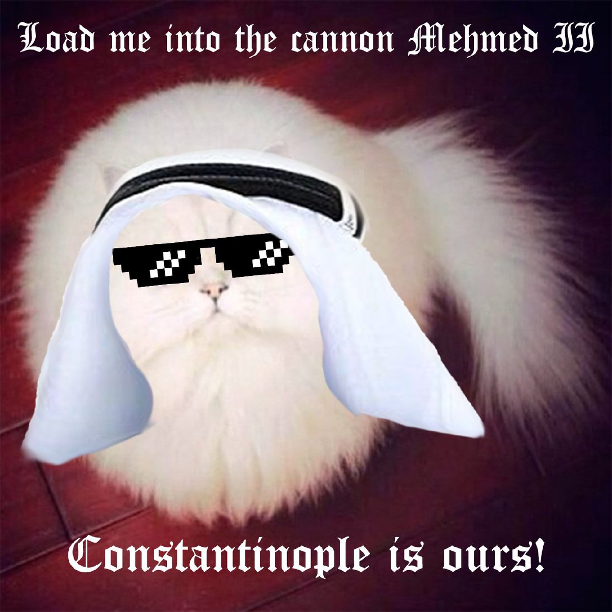 procrastin8oor's tweet photo. @elonmusk @SpaceX word on the street is that $HABIBI is your next rocket
@habibixyz_sol https://t.co/SjD8R8APHn