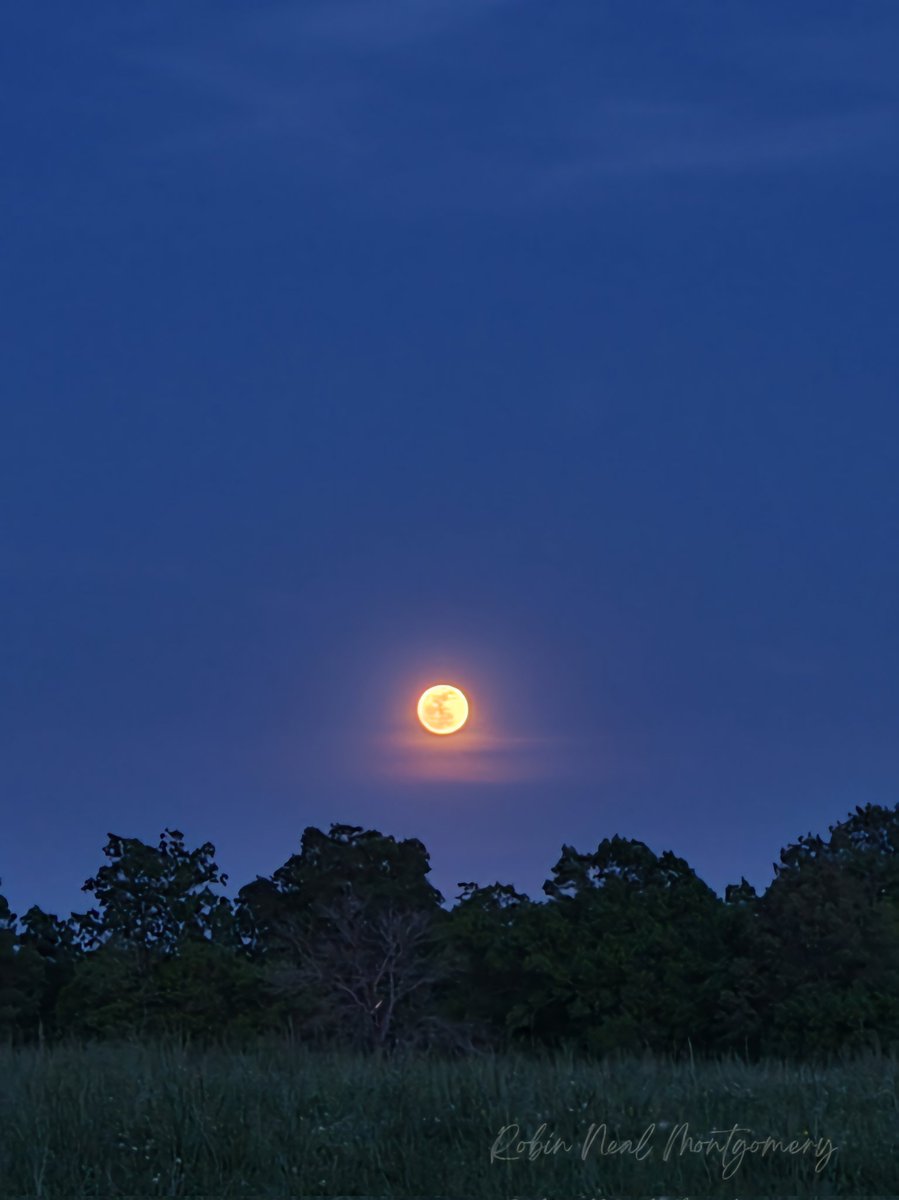 robimontgo's tweet photo. Well Hello Waxing Gibbous Moon 🌚
#fullmoon #april2024 #waxgibbous #iseethemoonandthemoonseesme #ncwx #ncliving #countryside  #cellphonephotography #nottobad https://t.co/O5bTKnRUEq