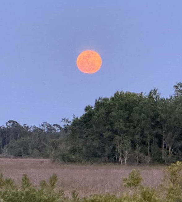 April Full 'Pink Moon' shining bright above Southwest Florida this evening from Port Charlotte (left) to Lake Suzy (right). Credit: @WINKNews viewers KimTony King & Kay Groves @stormhour