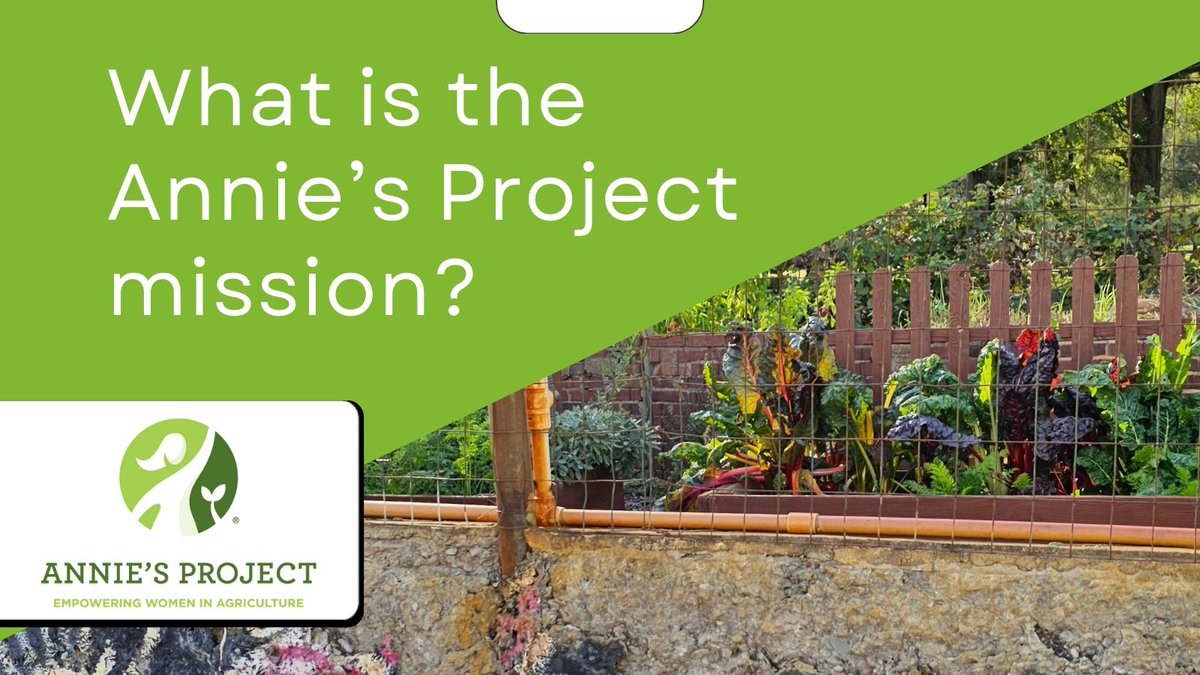What is the mission of Annie's Project? To empower women in agriculture to be successful through education, networks, and resources. Learn more at anniesproject.org.
#anniesproject #womeninagriculture #farming #ranching #farms #ranches #womensagleadership #agriculture