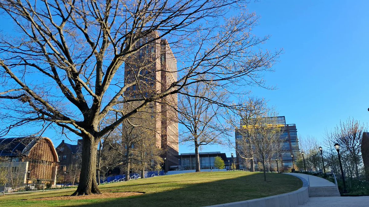 Amazing views before I start working every morning 🌱☀️ #Spring #Yale