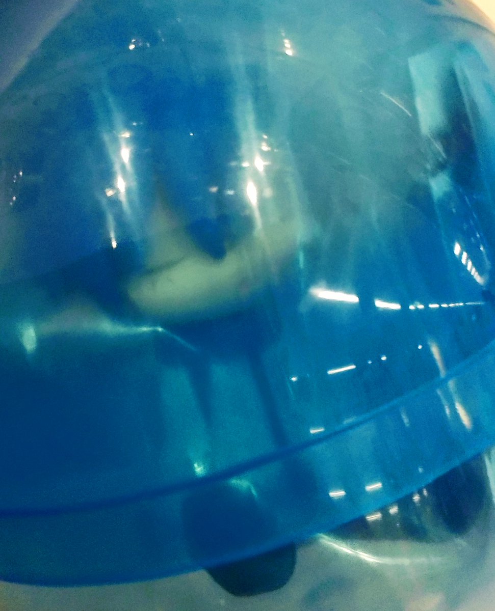 ４００円の男。