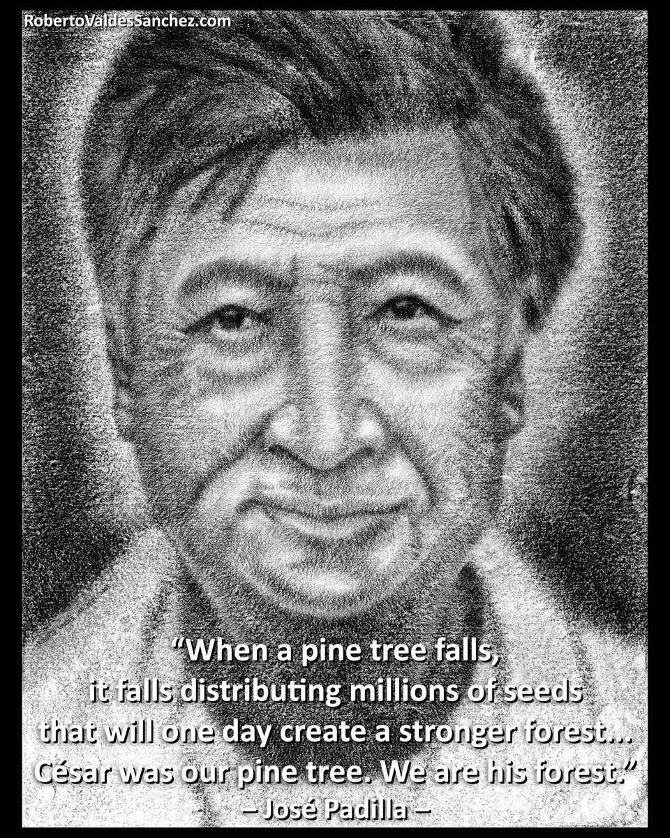 Today (April 23) we remember the life of labor leader César E. Chávez. ✊🏽

He was buried in a plain wooden casket. It was befitting of a man who humbly devoted his life to helping the poor.

*For more info:👇🏼
robertovaldessanchez.com/cesar-el-santo…

#CesarChavez #Chicano #UFW #UnitedFarmWorkers
