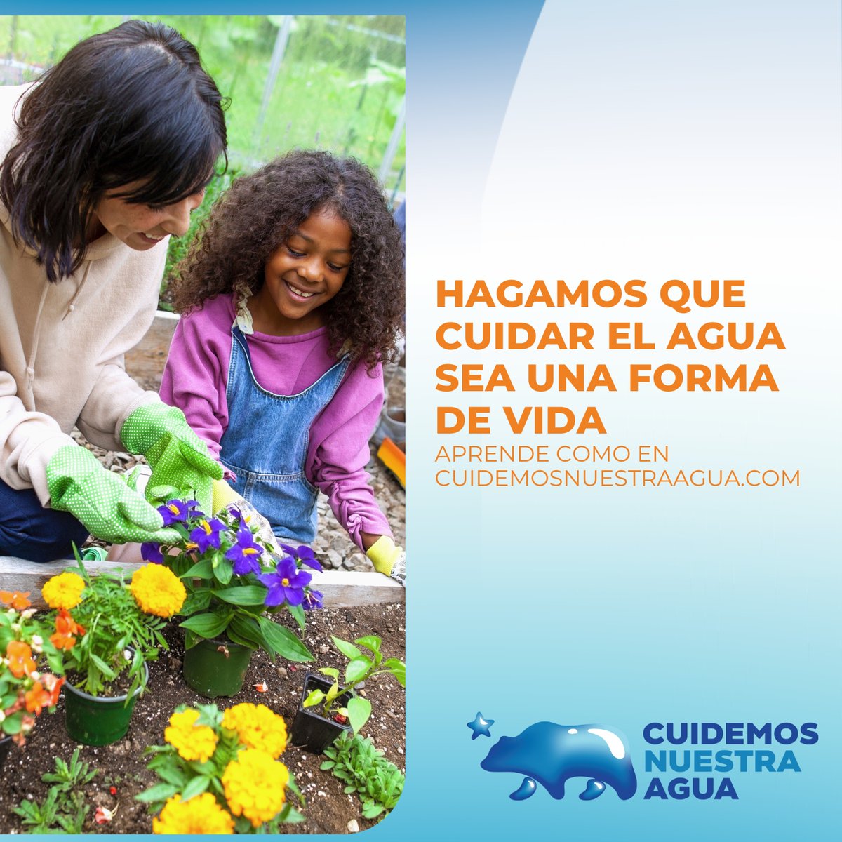 211 NorCal tweet media