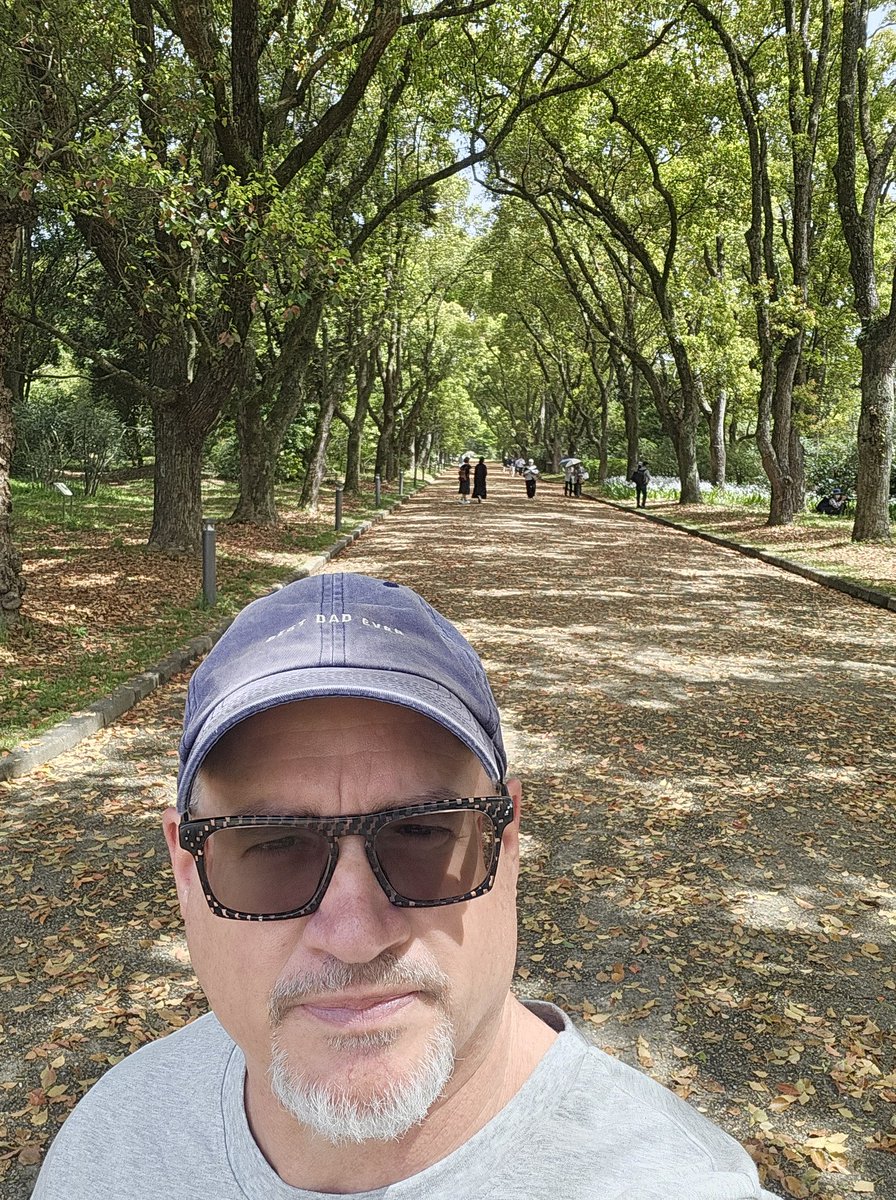 Japan in the spring is beautiful!
