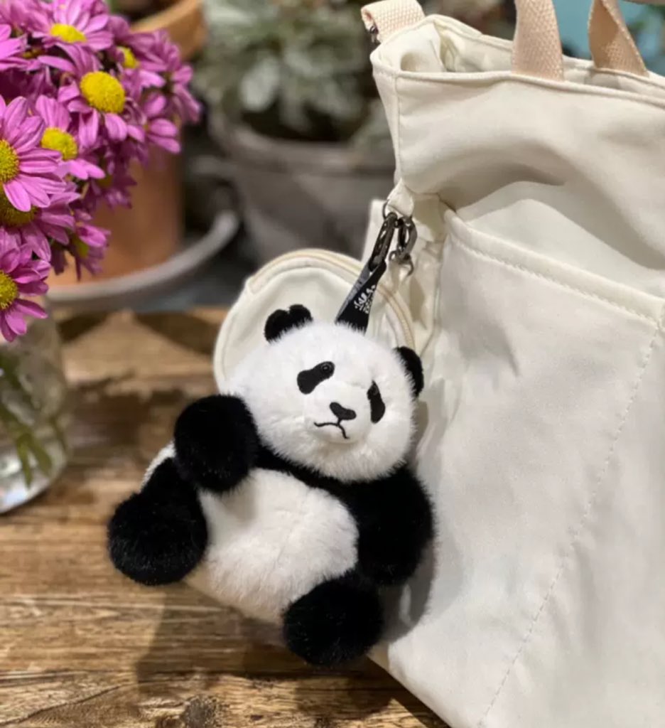 Greenduckky1's tweet photo. 💚 พรีออเดอร์ พวงกุญแจ #จักรวาลแพนด้า #แพนด้า #Panda 
💚 ขนาด 12cm. มี 9 ตัว
💚 485.- รส ถ้ารับมากกว่า1 ตัวลดค่าส่งได้นะคะ
#หมีแพนด้า #ฮวาฮวา #ชีไจ่ #เหมิงเอ้อ #อวี๋เข่อ #อวี๋อ้าย #เฟยอวิ๋น #ฝูเป่า #เหมิงหลัน #อาเป่า #แพนด้าสีน้ำตาล https://t.co/LxNeaEKIUG