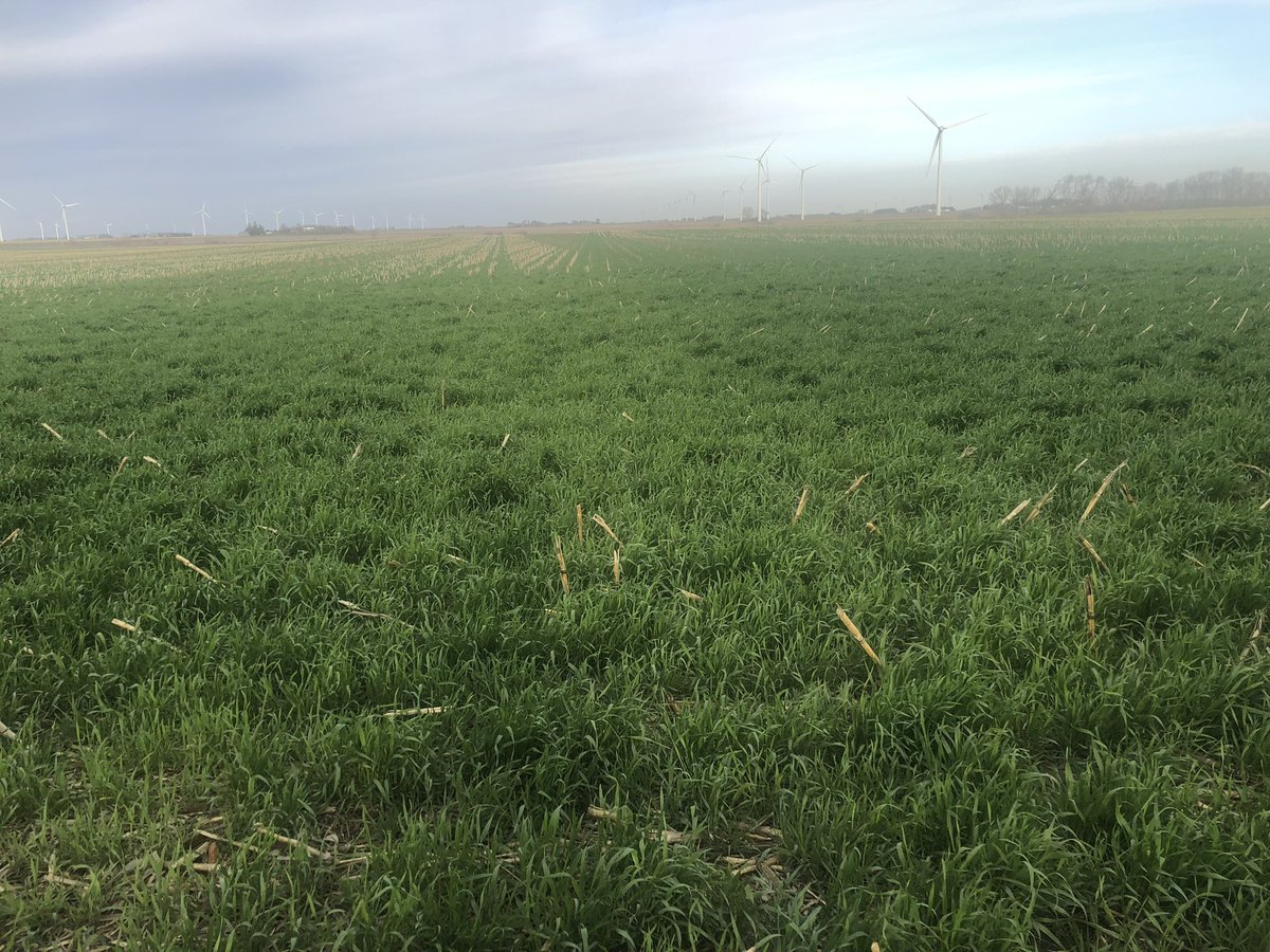 GarySchotanus's tweet photo. @iacovercrop Back at ya https://t.co/940WmOOscq