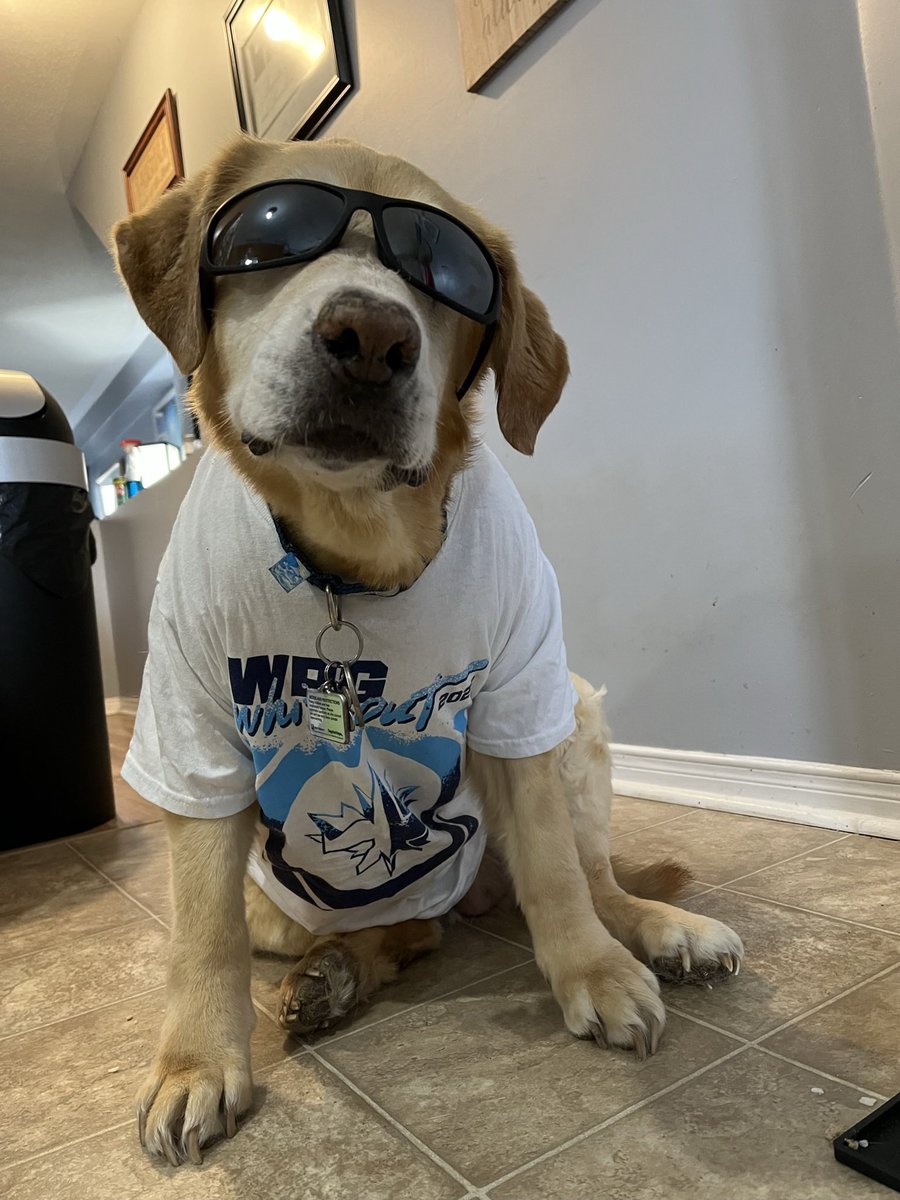prairieparsons1's tweet photo. LETโS GO. #GoJetGo #NHLJets #WPGWhiteout #StanleyCupPlayoffs https://t.co/HwAxQBLCQi