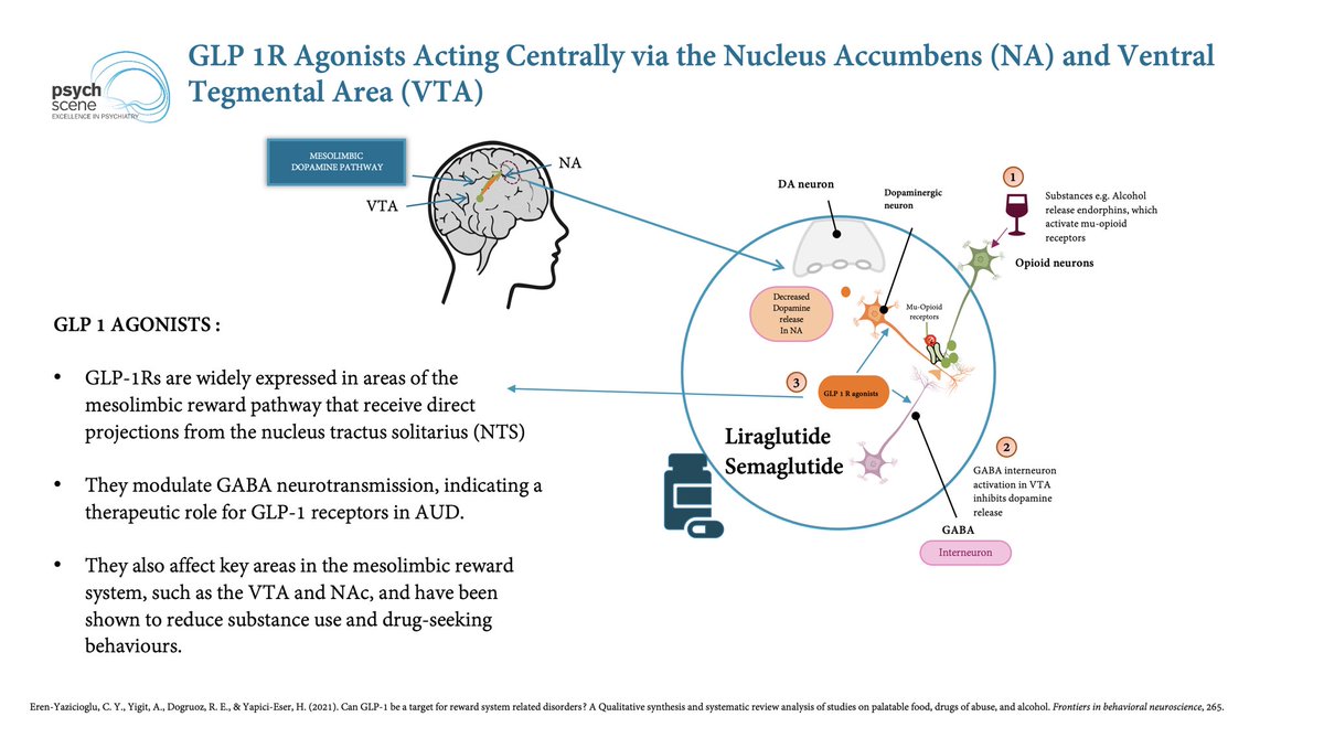 New article 👉The Neuroscience of Addiction - Application to Clinical Practice 🚀

Addiction is best conceptualised as a phenomenon where a ‘stimulus’ / object often an external ‘substance’ becomes all consuming. 

In this context the neuroscientific principles highlight how the