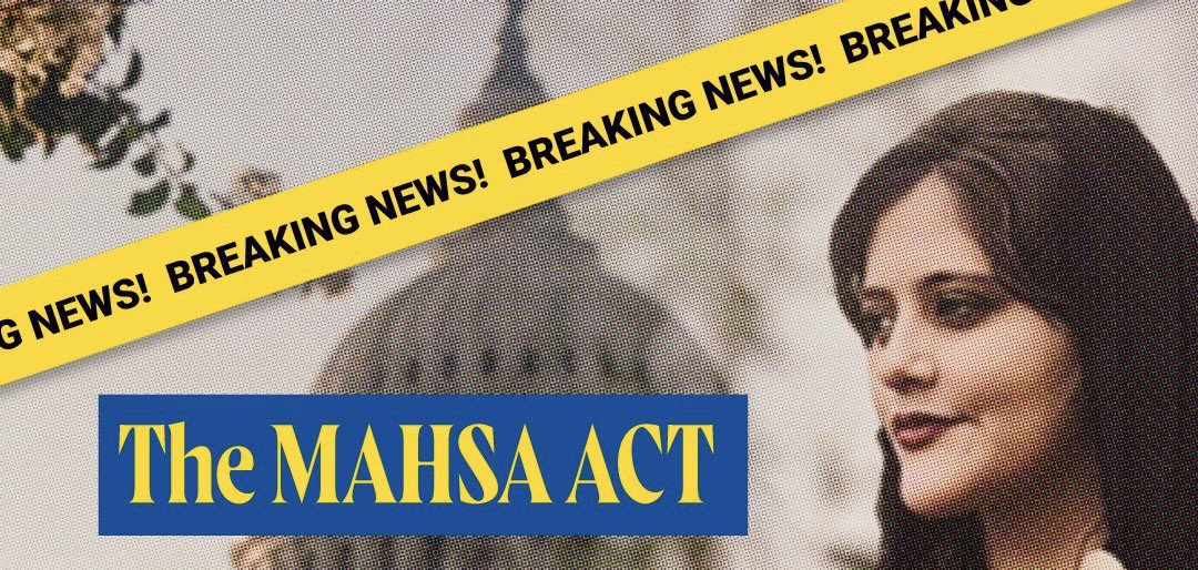 I am very happy to say that the #MAHSAAct and the #SHIPAct have officially passed in the U.S. Senate! I’m so happy and incredibly grateful to all my fellow activists who have worked tirelessly advocating for these pieces of legislation. 

To the president’s desk! 🎉