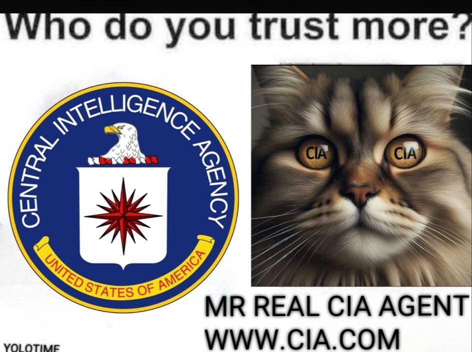 FrankFURCIA's tweet photo. @farokh You could buy that from the profits of $CIA during the bull market 

Go check the cats at CIA dot com https://t.co/iqgbEu5iu6