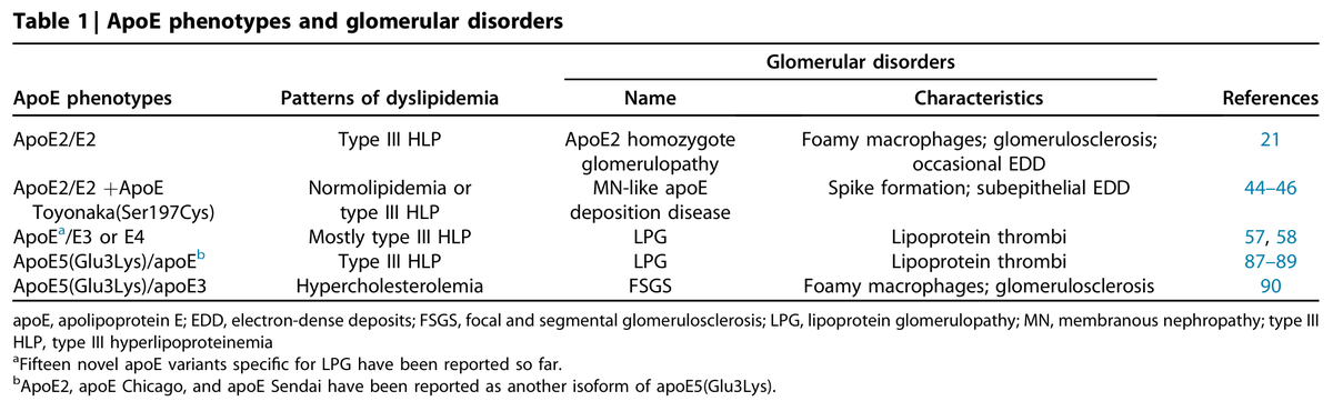 Interestingly, ApoE related glomerular disorders is a thing #NephJC #Nephpearls 👉 pubmed.ncbi.nlm.nih.gov/31874799/