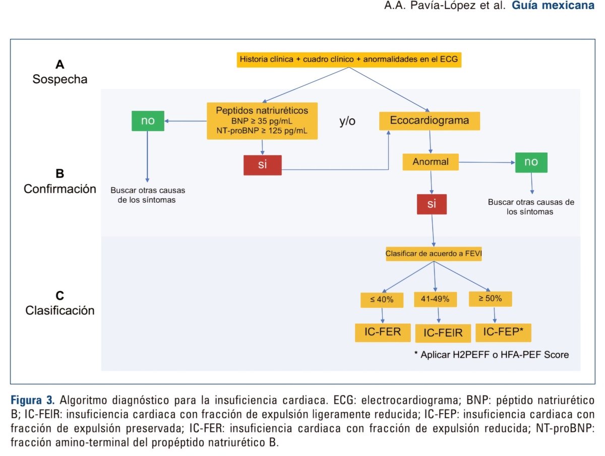 ✨️Algoritmo diagnóstico para la insuficiencia cardíaca. 👨‍⚕️🩺🫀

⚠️La definición universal de insuficiencia cardíaca exige la presencia de los primeros dos puntos y su respectiva clasificación:⤵️
🅰️Sospecha➡️ Dx sindrómico (+ específicos: ortopnea, edema, ingurgitación VY,