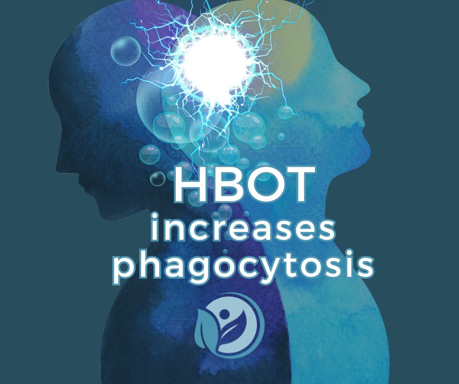 Unlock the power of oxygen with #HBOT! Research reveals that Hyperbaric Oxygen Therapy boosts phagocytosis, enhancing your body's ability to fight infections. Breathe easy and stay resilient! 💪 #Health #ImmuneSystem #Wellness Call or Text 424-426-3216