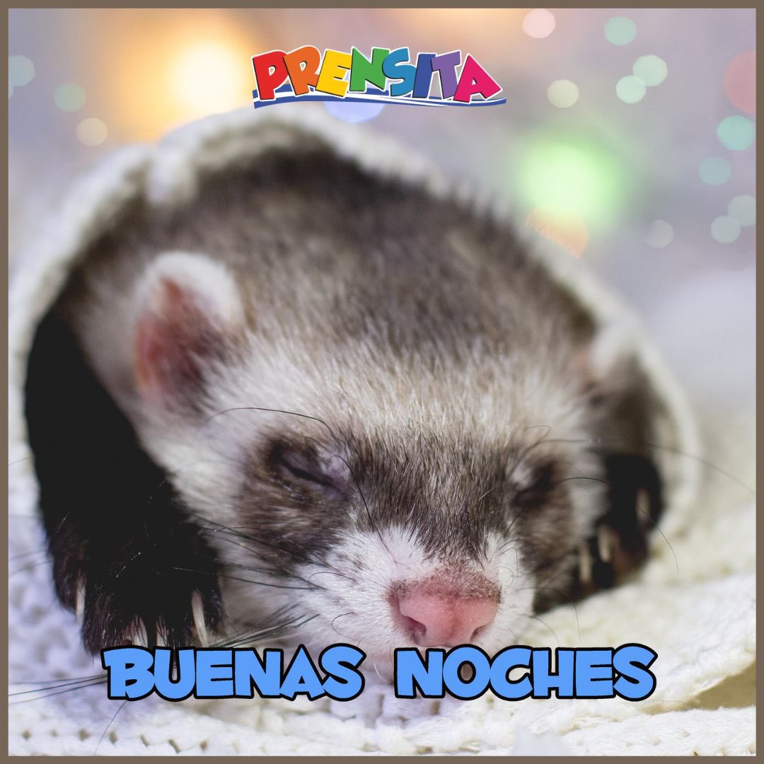 Buenas noches 💤