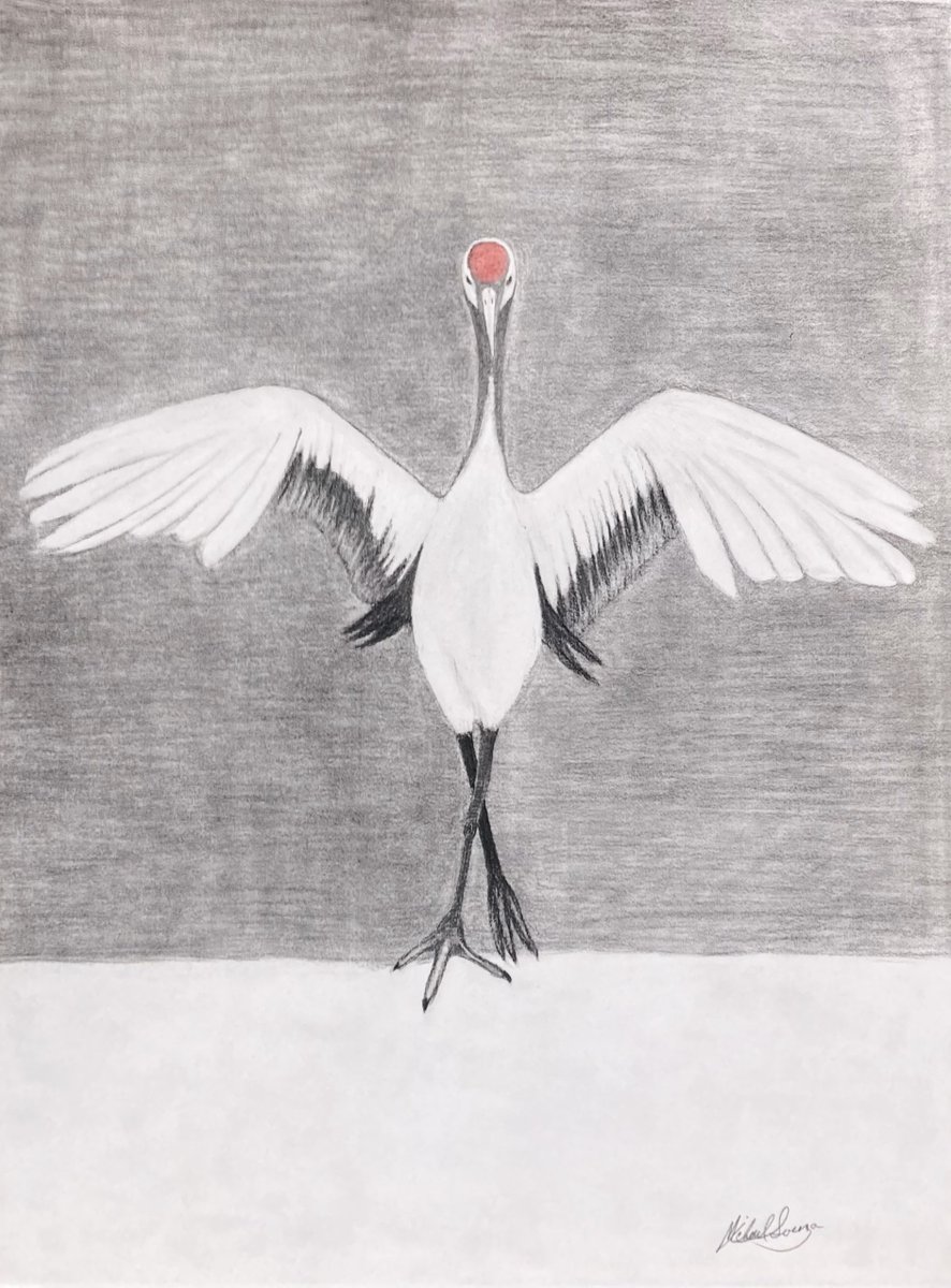 Red Top Japanese Crane First Attempt…
*I know I’m my own worst critic BUT I know when I’m on it and when not.
This is an attempt to save a drawing, I did the Crane first, THEN decided to add background. A little bit at first then more, then it was HO  S- - T!!