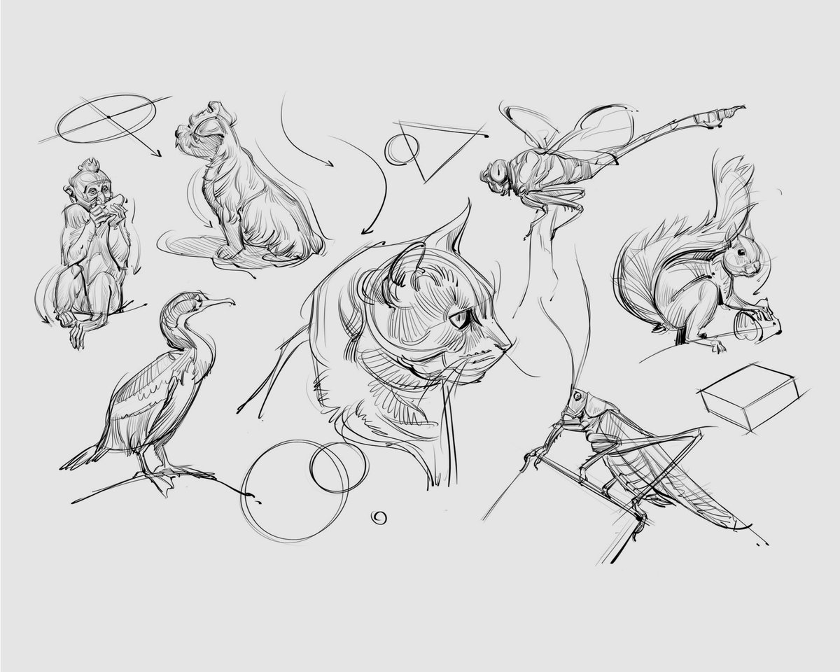 Animal gestures! #animalgestures #lineart #gesture #gottogetbetter #figuredrawing #doodles #sketches #cat #insects #mammals #dogs #monkey #birds #drawing #art