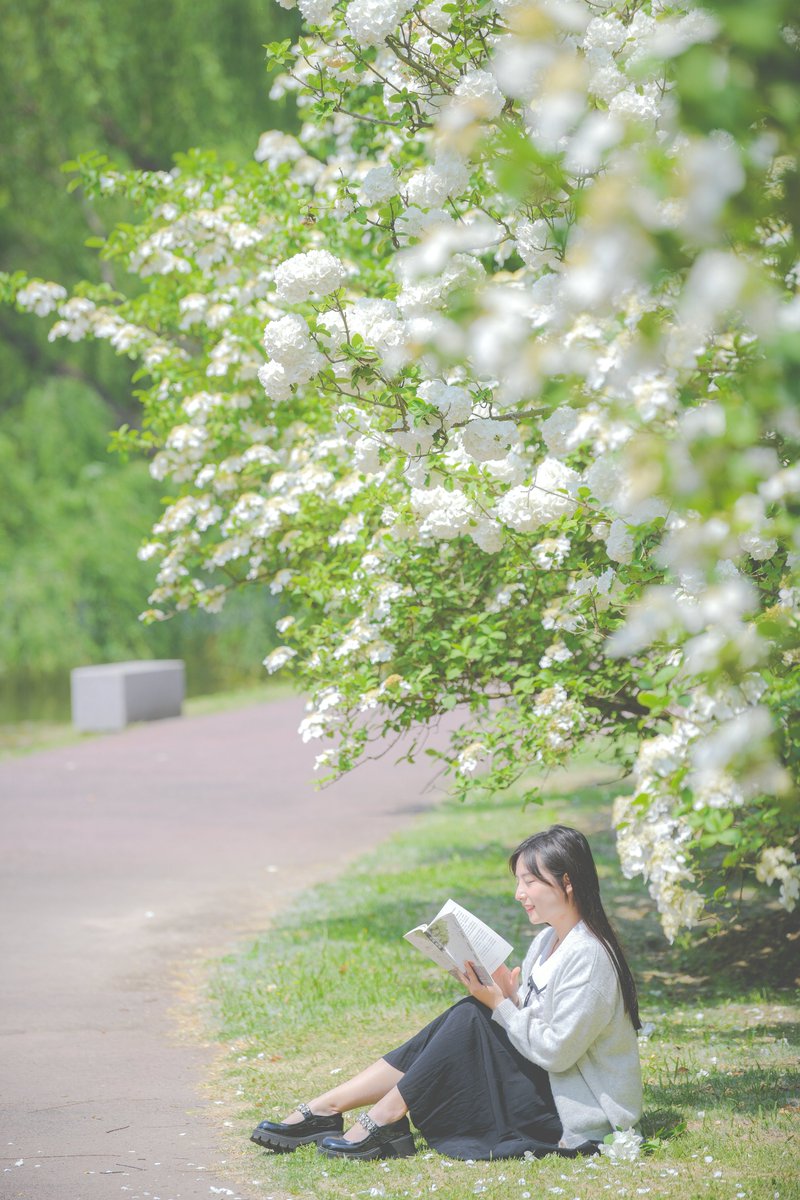 VisitSuzhou's tweet photo. This morning, the parks were filled with beautiful, bouncy, cloud-like panicle hydrangea petals๐ธ, which will change color from green to white. Are you a panicle hydrangea lover?๐
#Suzhou #Flowers #paniclehydrangea https://t.co/znTcYmzNF4