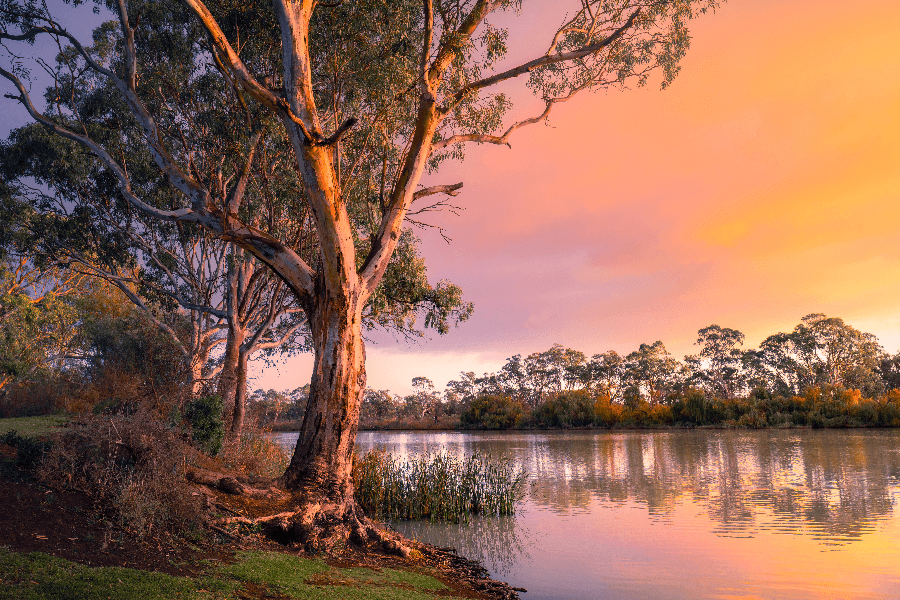 💧Inconsistent laws and penalties for water theft in the Murray-Darling Basin make compliance challenging. @UniofAdelaide experts have examined the laws and highlight future issues. Read more ➡️ blogs.adelaide.edu.au/environment/20…