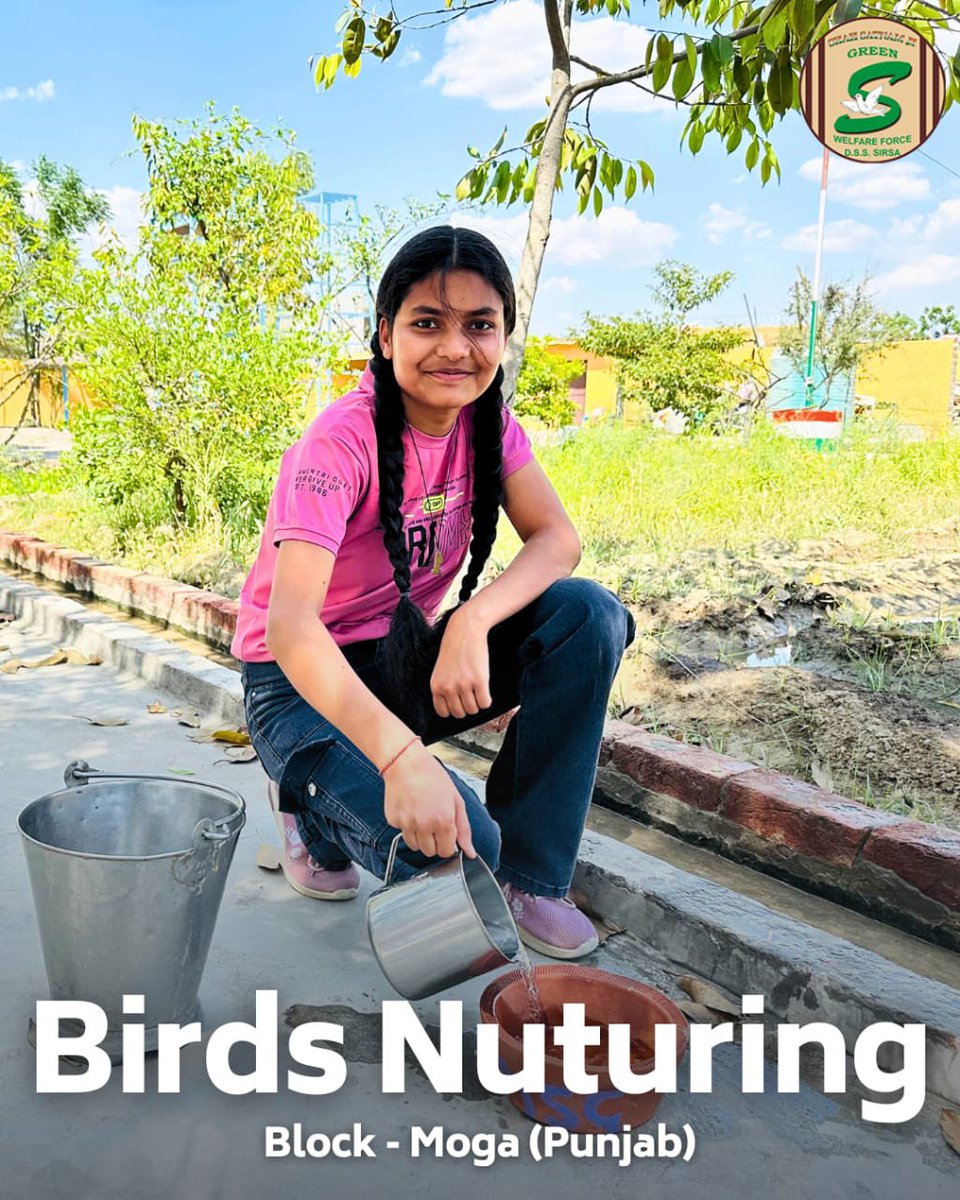 Keeping our feathered🦜friends cool and hydrated this summer! Shah Satnam Ji Green 'S' Welfare Force wing volunteers filled with compassion, placing bird baths in shaded areas to prevent overheating and maintain a healthy environment for birds. Their thoughtful actions embody…