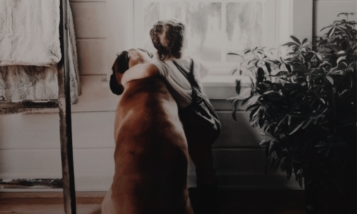 𝐅𝐫𝐚𝐧𝐤 𝐑. 𝐋𝐨𝐧𝐠𝐛𝐨𝐭𝐭𝐨𝐦 (@lcveandwrath) on Twitter photo 