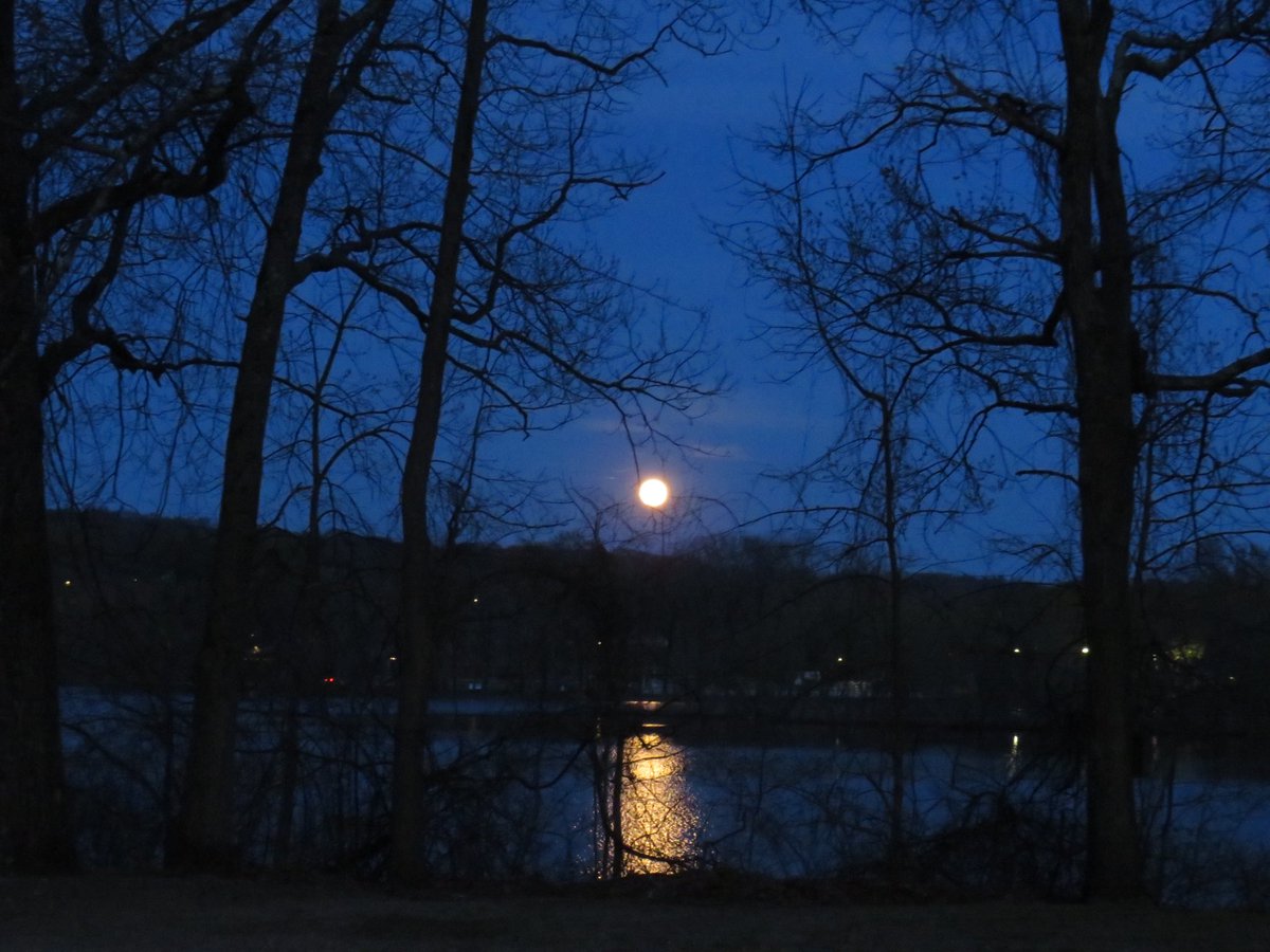 The April Full Pink Moon rising over the horizon at Hanover Pond, Meriden CT🌸!
#pinkmoon #buddingmoon #fullmoon #aprilmoon #bellaluna #moonlight #moonmagic #moonphase #naturesbeauty #nightsky