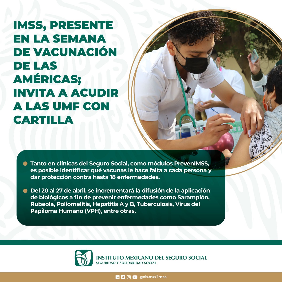 IMSS, presente en la Semana de Vacunación de las Américas; invita a acudir a las UMF con cartilla 💉 ➡️ tinyurl.com/26ye6n9c