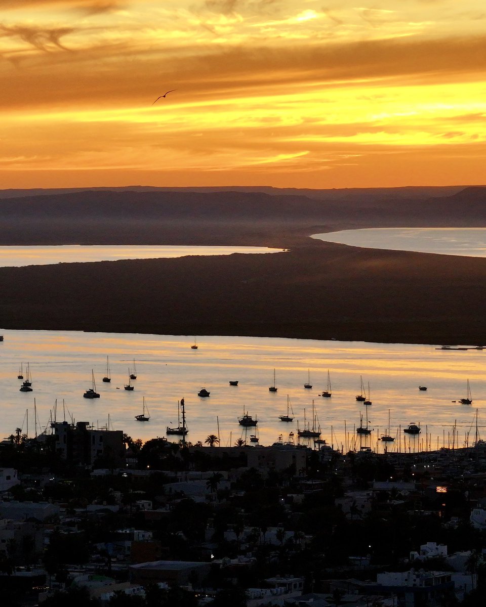 Desde La Paz, Baja California Sur, México  #bajacaliforniasur