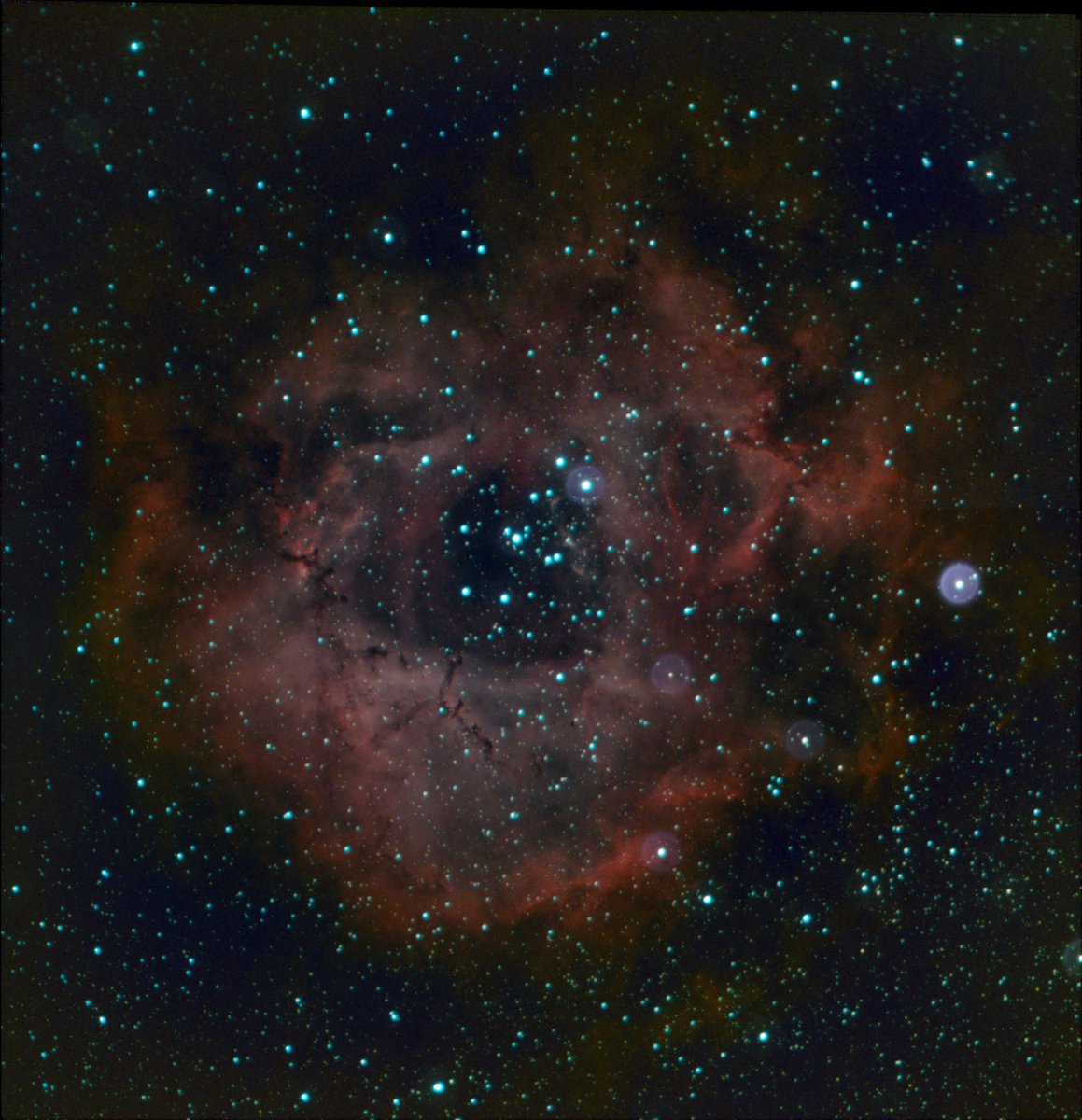 Graxpert 3.0
Background extraction & AI generated Noise reduction.
Used on a 2 panel mosaic of the Rosette Nebula NGC 2244.
Impressive Noise reduction power
Background extracting, not so much.
Still a very impressive FREE program.
#astronomy #Astrophotography