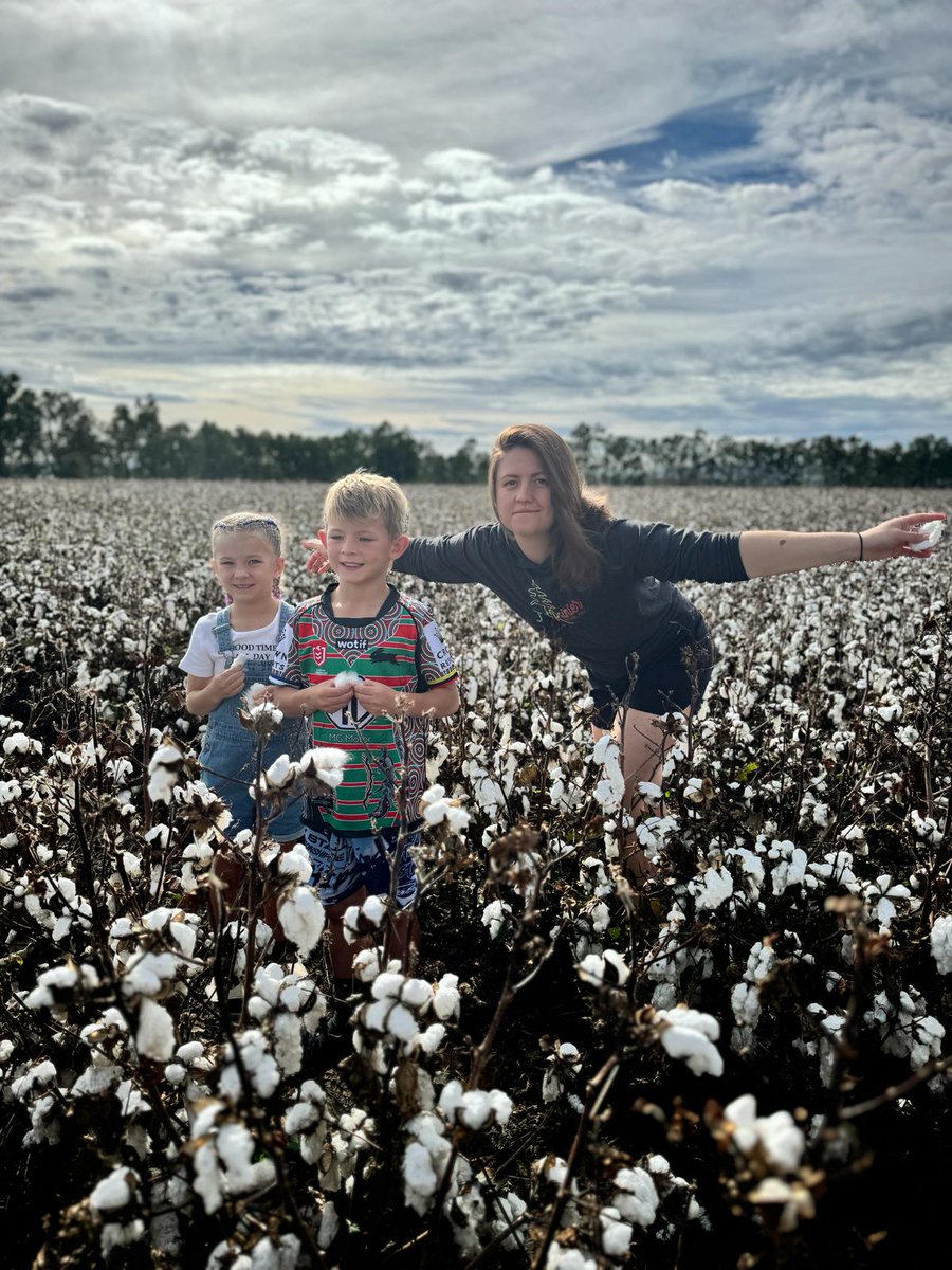 Cotton harvest in full swing in the namoi valley and it's a massive crop. Turkeys nests still full so another summer crop is expected @StoneX_Official . Farmers are in a rush to harvest before the cheap brazil crop comes off.