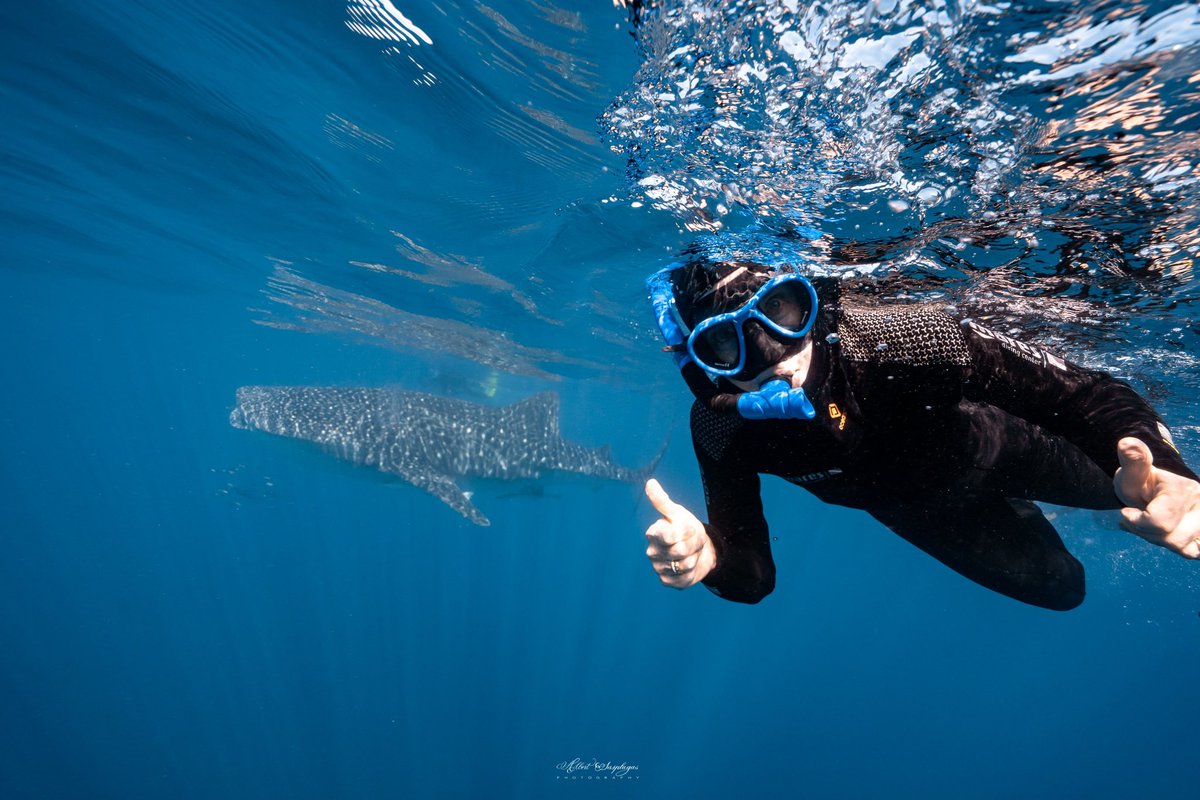 Ambassador Kennedy and Consul General Nair were lucky to spend Earth Day swimming with whale sharks on Ningaloo Reef in WA.

They were joined by marine scientists from @minderoo studying how to make coral more resilient in the face of warming oceans.