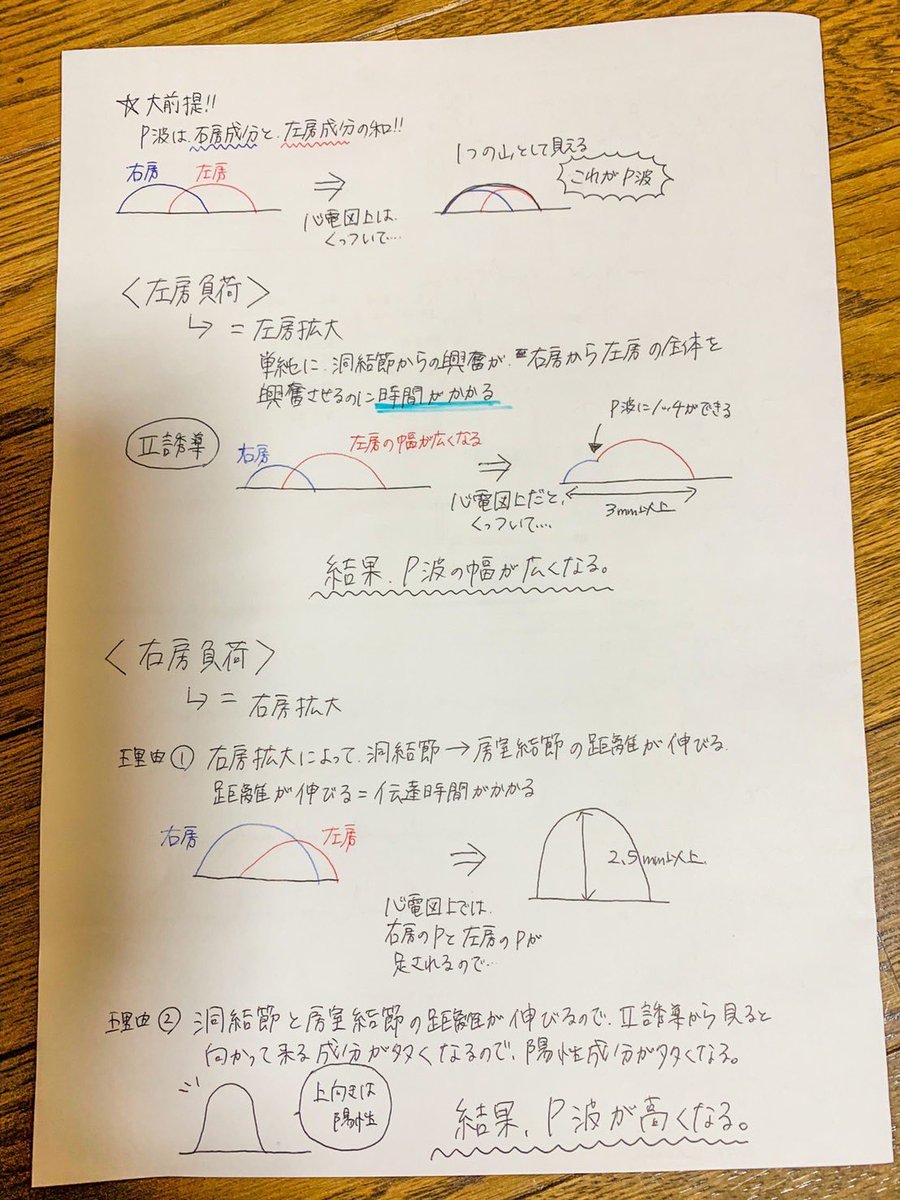 心電図の波形について勉強していて、人生で一番感動したこと:
P波