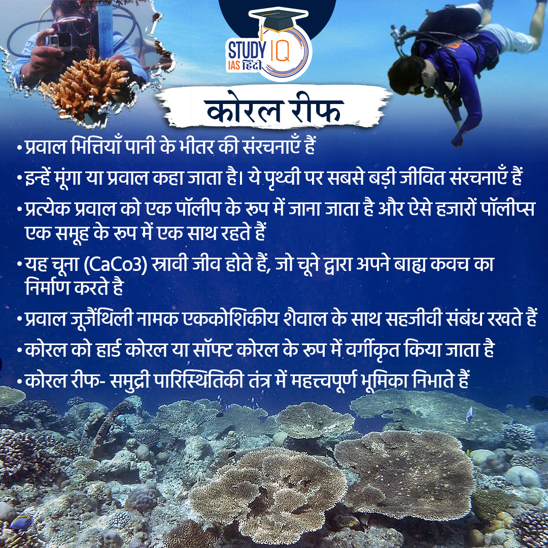 Coral Bleaching | Coral #currentaffairs #CoralBleaching #india #Coral #Bleaching #zooxanthellae #UPSCPRE2024 #IAS #IASPRE #UPSC #IASPRE #UPSC #UPSC #IAS #IASPRE #UPSC #currentaffairs #news #STUDYIQ #UPSC2024 #UPSCPRE2025 #IAS #IASPRE #UPSC