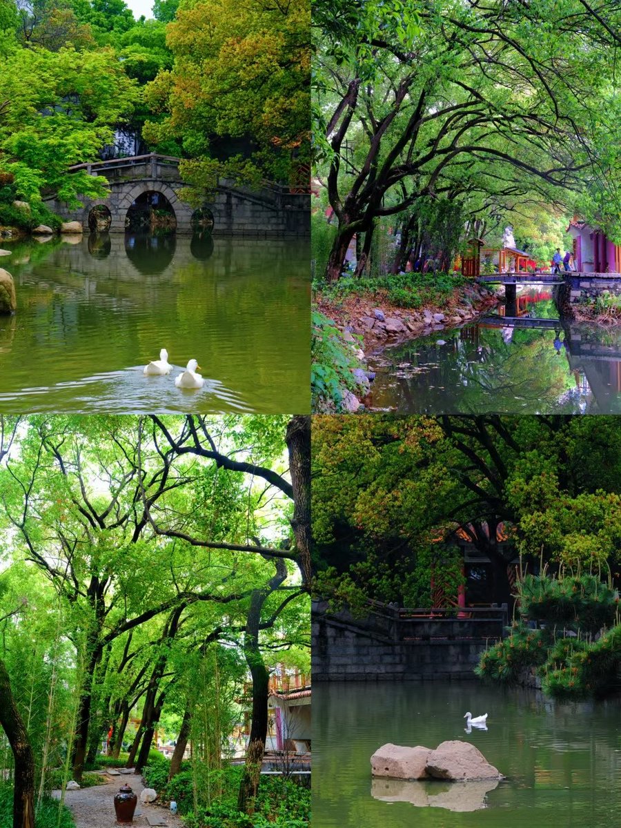 人间最美四月天，这一站南昌 #GreenJiangxi  #绿色江西 #文化赣鄱