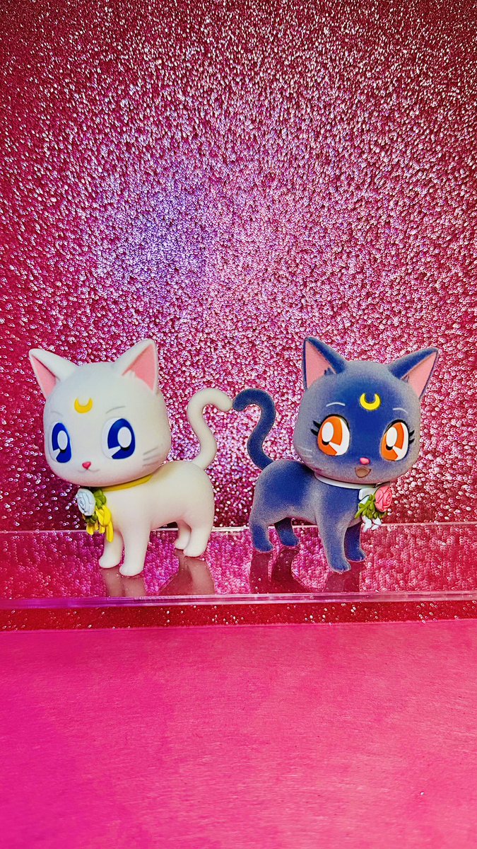 Luna & Artemis Fluffy Puffy 🌙✨

#sailormoon #sailormars #sailorjupiter #sailorvenus #sailorpluto #sailormercury #sailorchibimoon #sailorneptune #bandai #sailormooneternal #sailorcosmos #SailorMoonCosmos  #sailormoonmusical #セーラームーン #sailormoonmuseum #sailormoonstore