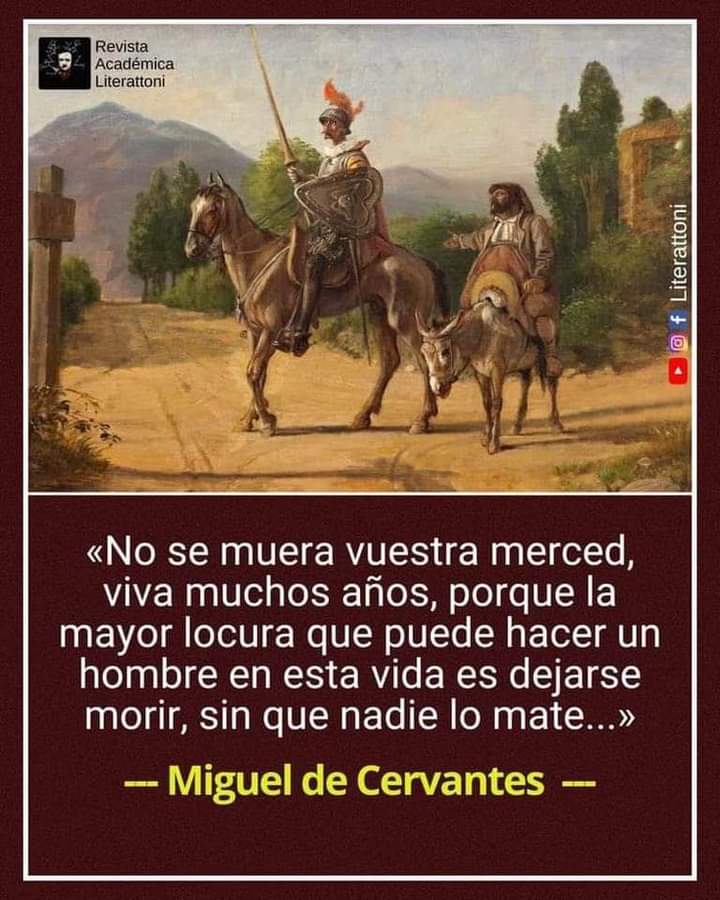 En el #DiaDelIdiomaEspañol  y en honor al Quijote, un consejo, no dejarse vencer seguir adelante 👇