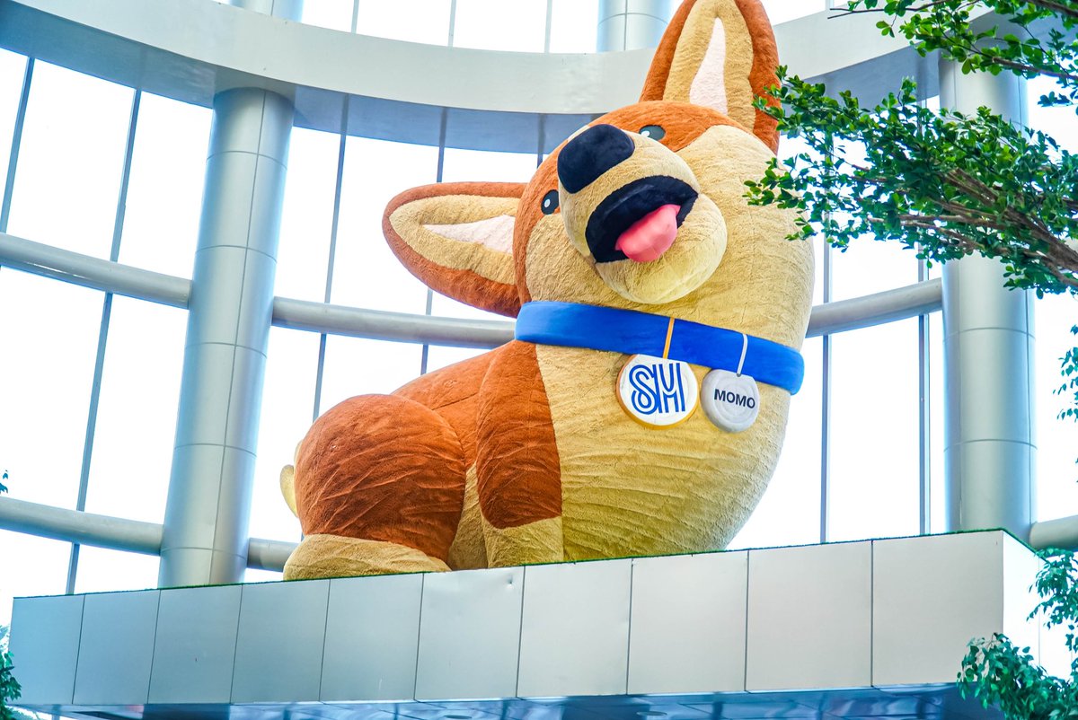 Need a mid-week boost? Head to SM Mall of Asia and turn your Wednesday woes into woohoos! 💯

Here’s Momo to brighten your day and to welcome all of you😎🐾🦴

#EverythingsHereatSM #GetHypedatSM