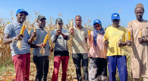 Thumbs up for corn? Well, maize was certainly among our highlights last year. (So were potatoes & AEs & lots more). We’ve just issued our 2023 Report. See how we performed: syngentafoundation.org/sites/g/files/…. Tell us what you think: syngenta.foundation@syngenta.com