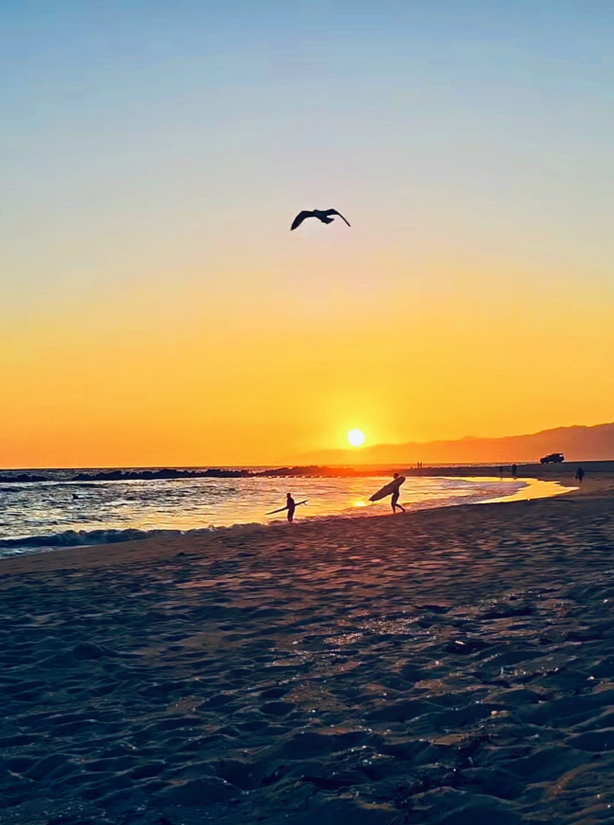 A beautiful sunset in Venice Beach, California #sunsetlovers