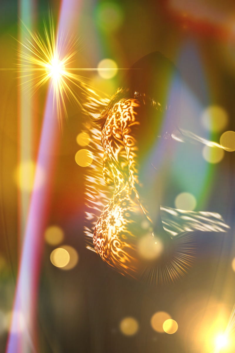 Ava Sol 💃🌞❤️‍🔥 tweet media