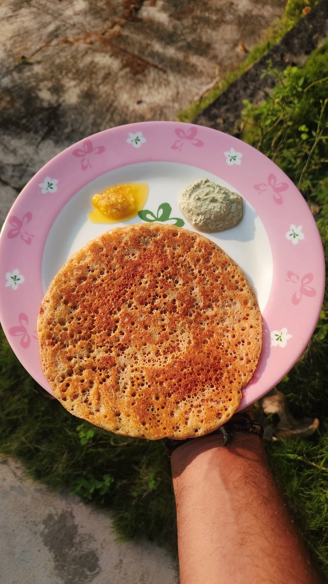 Sunshine + Methi Dosey = Sunkissed Methi Dosey 
One of my favorite breakfast ♥️♥️
#RajsKitchen #Foodie