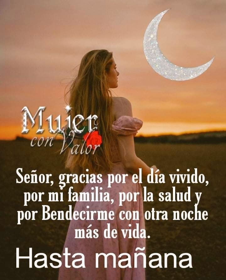 FELIZ NOCHE 💤⭐🌙