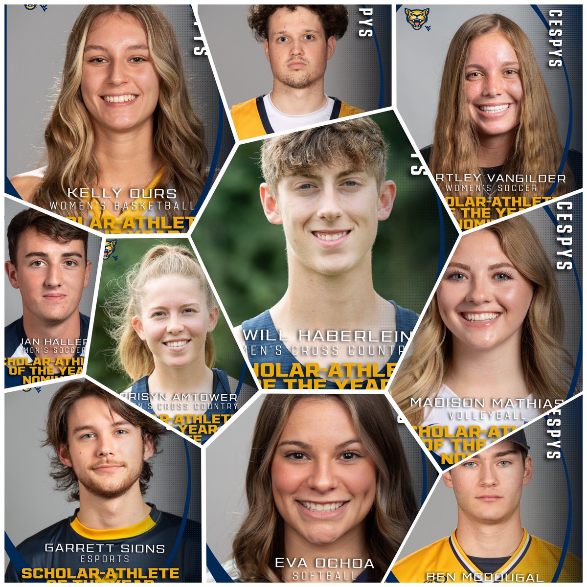 Potomac State Athletics tweet media